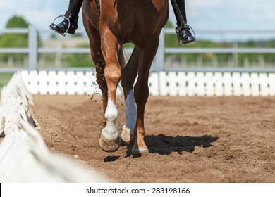 Close up of the horse hooves in motion. Dressage competition.