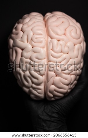 Close up of Human brain Anatomical Model, cake art concept image, brain from sugar paste. Sugar art