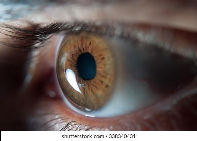 Close Up Of Human Brown Eye