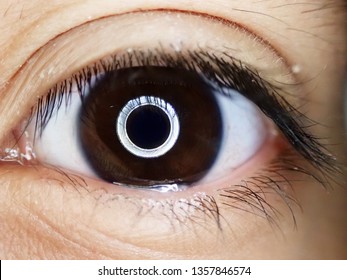 Close up of human eye