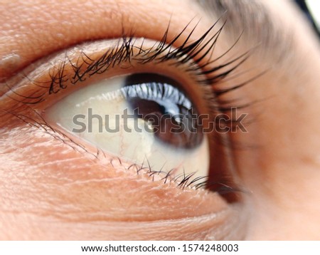 Similar – My look Eyelash Pupil