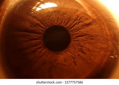 Close Human Eye Texture Stock Photo (Edit Now) 1577757601