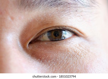 Close Up Human Of The Eyes, Asian Thailand