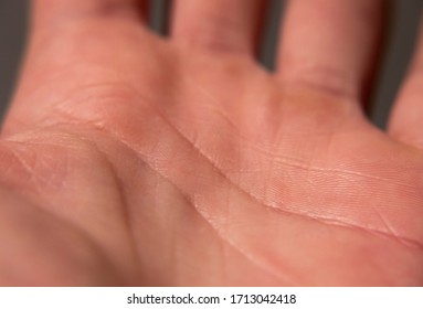 Close up of human hand