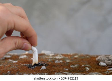 Close up of human hand with cigarette butts stuck in ash with grey blur in background.