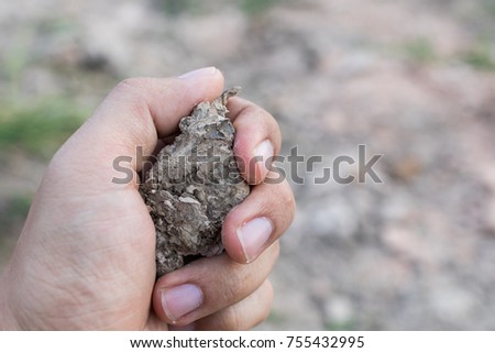 close up human hand holding soil for test before making argriculture of organic vegetable, plant farming garden in nature