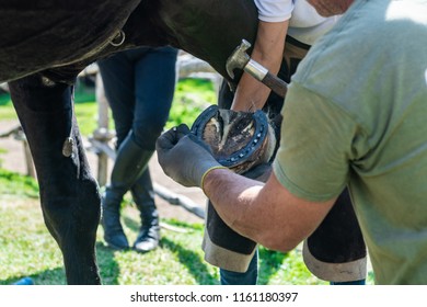 369 Horse shod Images, Stock Photos & Vectors | Shutterstock