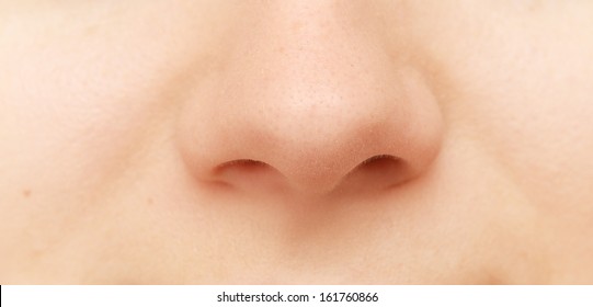 Close Up Of Human Nose