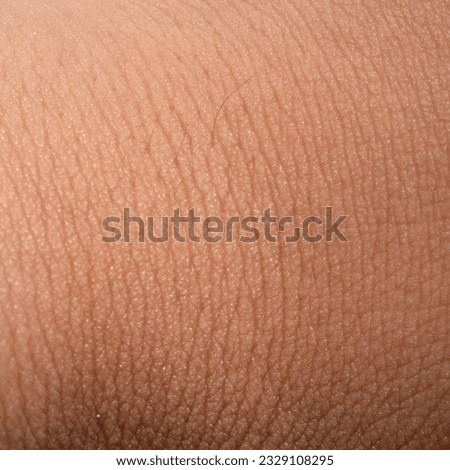 close up human skin texture, skin of the hand
