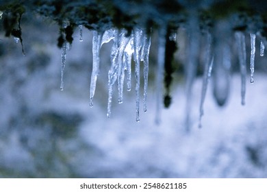 Close up of icicles hanging