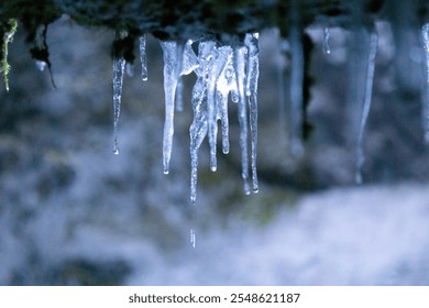 Close up of icicles hanging - Powered by Shutterstock