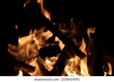 Close up image of burning embers in fire with charred pieces of wood