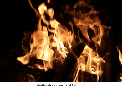 Close up image of burning embers in fire with charred pieces of wood