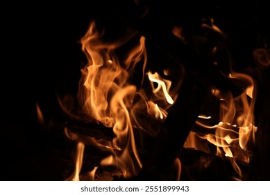 Close up image of burning embers in fire with charred pieces of wood