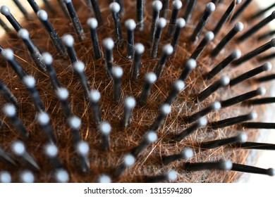 A Close Up Image Of A Dirty Hairbrush Full Of Red Hair. 