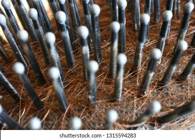 A Close Up Image Of A Dirty Hairbrush Full Of Red Hair. 