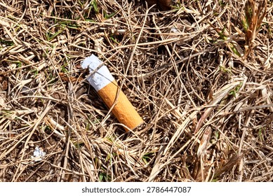 Close up image of a discarded cigarette butt lying on dry grass and soil outdoors. Environmental pollution and littering concept with natural earthy textures and harsh sunlight.