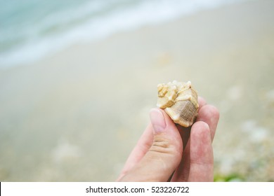 Close up image of female hand holding a seashell at the seaside with foamy waves on the background