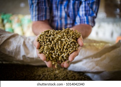 Close up image of hands holding animal feed at a stock yard - Shutterstock ID 1014042340