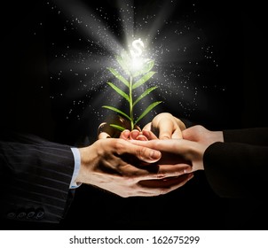 Close Up Image Of Human Hands Holding Sprout Of Money Tree