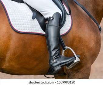 Close up image of jockey riding boot in the stirrup. Rider on bay sport horse.  - Powered by Shutterstock