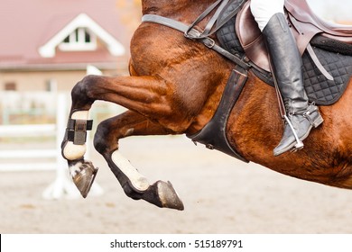 Close Up Image Of Jumping Horse Over Hurdle Bar On Show Jumping Competition.