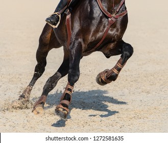 Close up image of legs of running bay sport horse on show jumping.