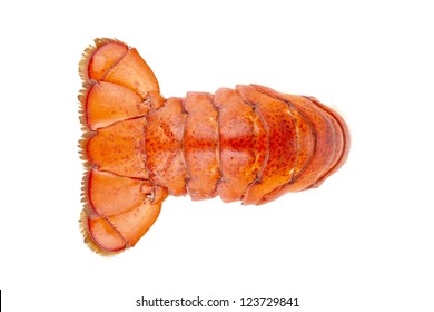 Close Up Image Of A Lobster Tail Against White Background