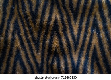 Close Up An Image Of Natural Fur, White, Gray And Brown Color With Black Stripes.