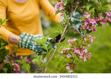 Close up image of senior woman gardening. She is pruning flowers. - Powered by Shutterstock