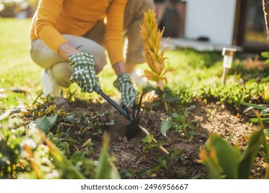 Close up image of senior woman gardening in her yard. She is using rake.	 - Powered by Shutterstock