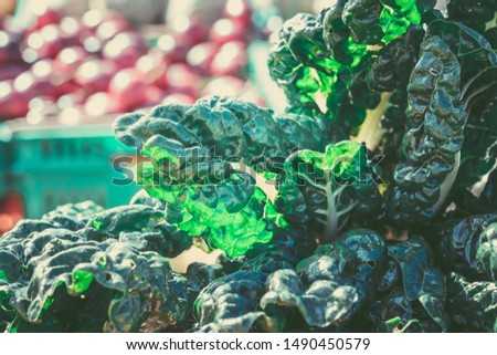Close up image of silverbeet leaves