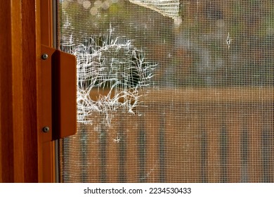 Close up image of torn window screen. Anti mosquito net damaged by birds and frequent usage. Protection against annoying insects. Repair needed