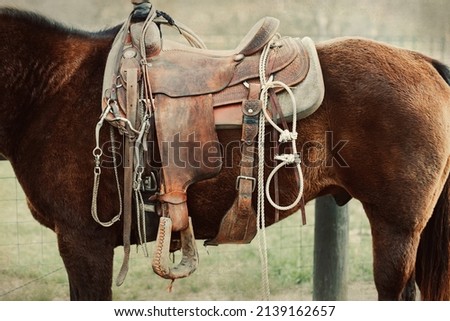 A close up image of a western saddle on a work horse on a ranch or farm with a vintage feel.