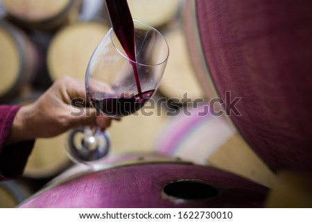 Close up image of a wine sample being collected by a wine maker in a cellar with old oak wine barrels