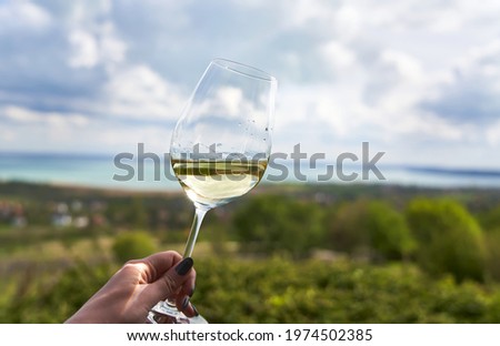 Close up image of woman holding glass of white wine in a vineyard. Winery background.