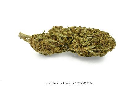 Close Up Of Indica Prescription And Recreational Medical Marijuana Flower Bud Isolated On White Background. Medical Marijuana.Therapeutic And Medicinal Cannabis. Marijuana Nugget.