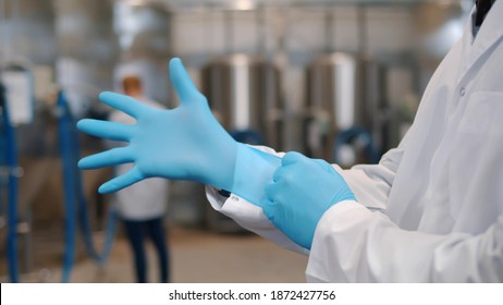 Close Up Of Industrial Engineer In White Coat Putting On Gloves At Brewery Plant. Worker Wearing White Coat And Rubber Gloves Working In Modern Beer Factory