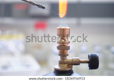 Close up of inoculation loop being sterilized in flame of gas bunsen burner in a laboratory. Laboratory work concept.