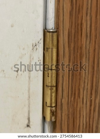 Close up of interior door hinge mounted on wooden door frame showing metal hardware detail