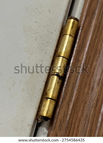 Close up of interior door hinge mounted on wooden door frame showing metal hardware detail