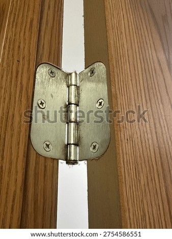Close up of interior door hinge mounted on wooden door frame showing metal hardware detail