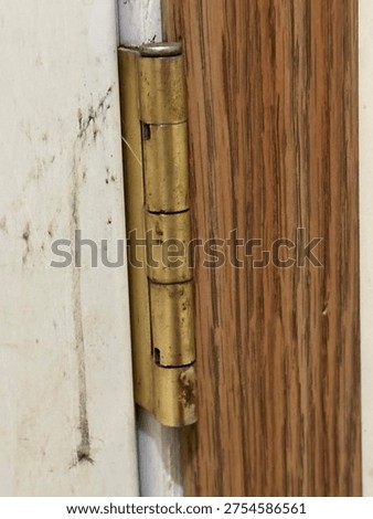 Close up of interior door hinge mounted on wooden door frame showing metal hardware detail