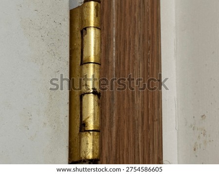 Close up of interior door hinge mounted on wooden door frame showing metal hardware detail