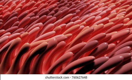 Close up of intestinal villi pattern with color variations