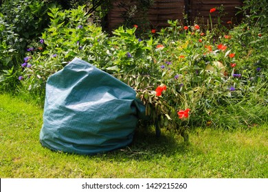 Close Up Of Isolated Bag With Garden Waste On Green Grass With Flowers During Gardening 