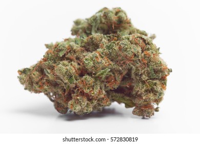 Close up of Jack Herrer Marijuana Bud