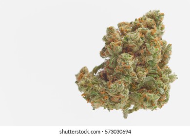 Close up of Jack Herrer marijuana bud