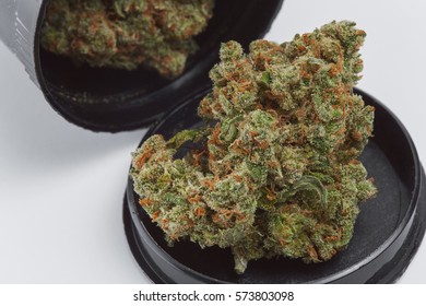 Close up of Jack Herrer medical marijuana bud in prescription bottle