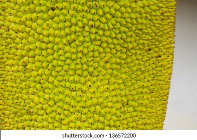 close up of a jackfruit